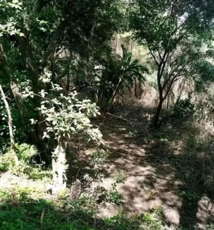 10-acre-for-sale-in-mikango-barracks-big-0