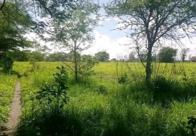 10-acre-for-sale-in-mikango-barracks-big-1