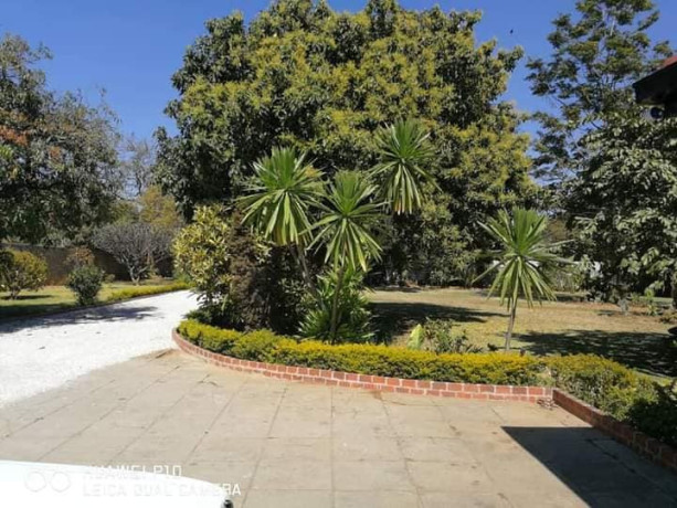 3-bedroom-apartment-for-rent-in-roma-big-3