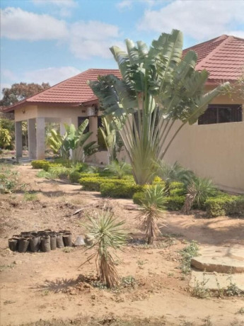 3-bedroom-house-for-rent-in-ngwerere-big-4