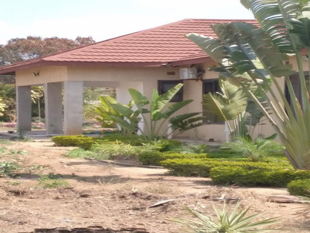 3-bedroom-house-for-rent-in-ngwerere-big-2