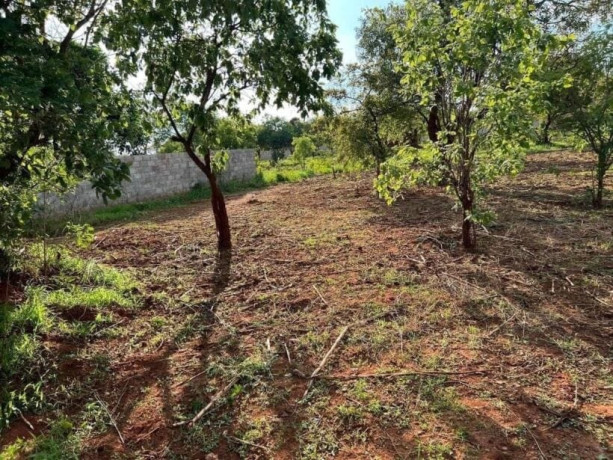 plot-for-sale-in-new-kasama-big-2