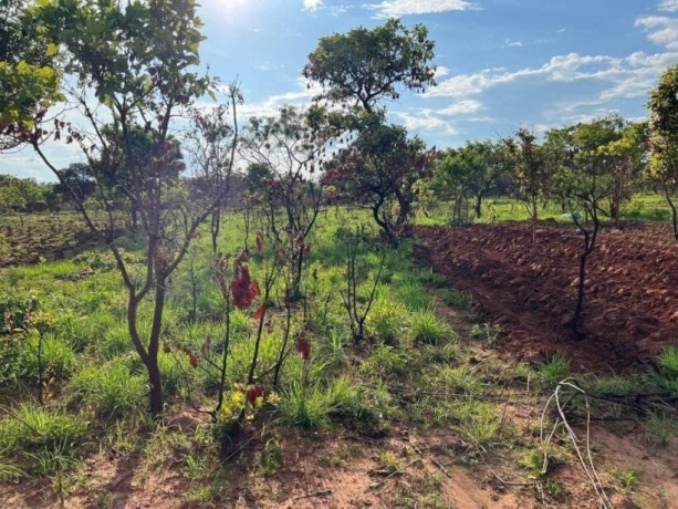 plot-for-sale-in-new-kasama-big-1