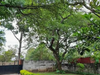 3-bedroom-house-for-rent-in-longacres