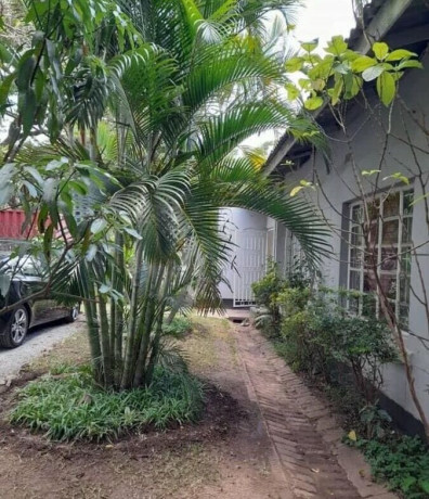 3-bedroom-house-for-rent-in-longacres-big-2