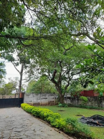 3-bedroom-house-for-rent-in-longacres-big-0