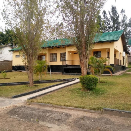 4-bedroom-standalone-house-for-rent-in-ibex-hill-big-1