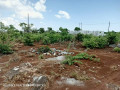 plot-for-sale-in-new-kasama-small-3