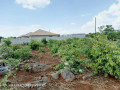 plot-for-sale-in-new-kasama-small-9