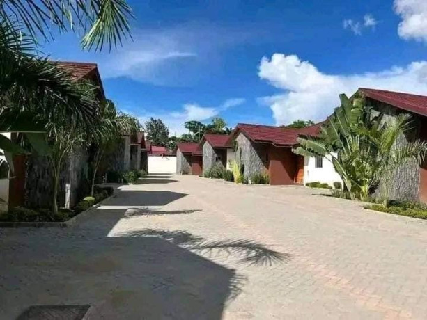 3-bedroom-house-for-rent-in-olympia-park-big-0