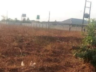 plot-for-sale-in-new-kasama