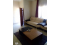 2-bedroom-furnished-flat-for-rent-in-roma-park-small-5
