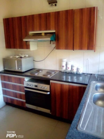 2-bedroom-furnished-flat-for-rent-in-roma-park-big-2