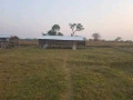 9-acres-farm-for-sale-in-silverest-small-4