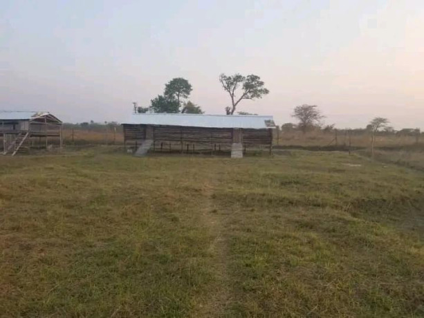 9-acres-farm-for-sale-in-silverest-big-4
