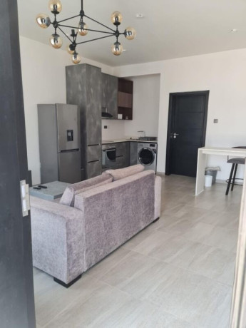 1-bedroom-apartment-for-rent-in-longacres-big-0