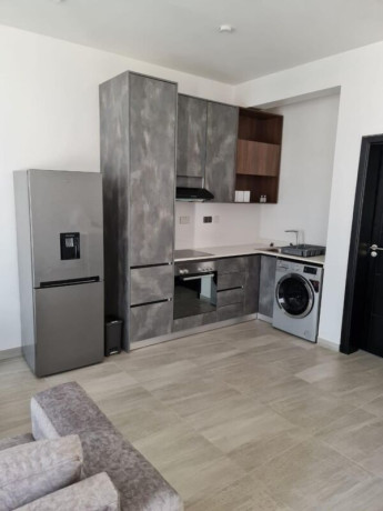 1-bedroom-apartment-for-rent-in-longacres-big-6