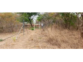 23-acres-farm-land-for-sale-in-kafue-mapape-small-0