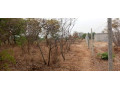 23-acres-farm-land-for-sale-in-kafue-mapape-small-1