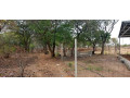 23-acres-farm-land-for-sale-in-kafue-mapape-small-4
