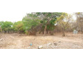 23-acres-farm-land-for-sale-in-kafue-mapape-small-7