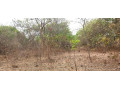 23-acres-farm-land-for-sale-in-kafue-mapape-small-3