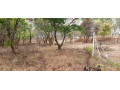 23-acres-farm-land-for-sale-in-kafue-mapape-small-2