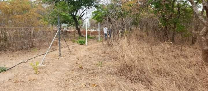 23-acres-farm-land-for-sale-in-kafue-mapape-big-0