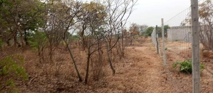 23-acres-farm-land-for-sale-in-kafue-mapape-big-1