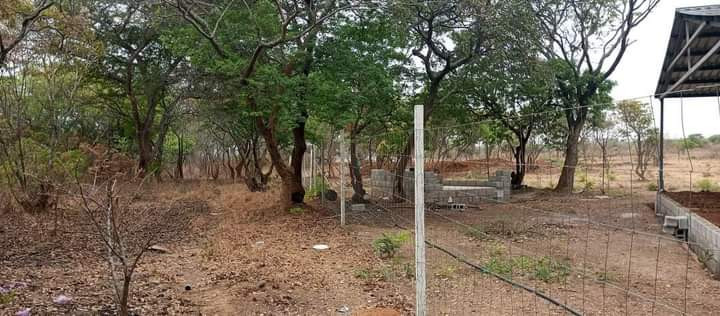 23-acres-farm-land-for-sale-in-kafue-mapape-big-4