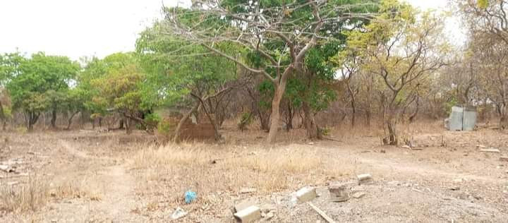 23-acres-farm-land-for-sale-in-kafue-mapape-big-7