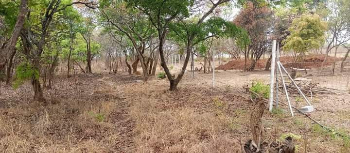 23-acres-farm-land-for-sale-in-kafue-mapape-big-2