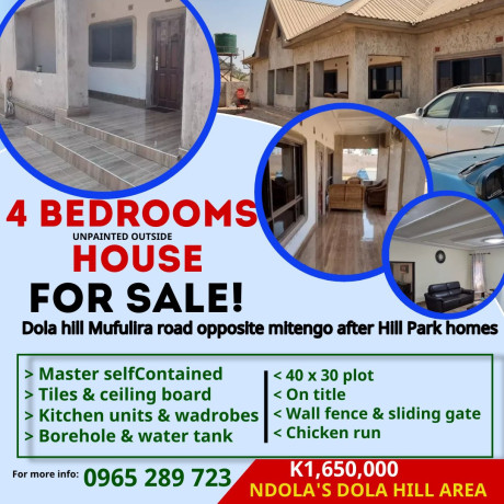 4-bedrooms-morden-house-for-sale-in-dola-hill-mitengo-big-0