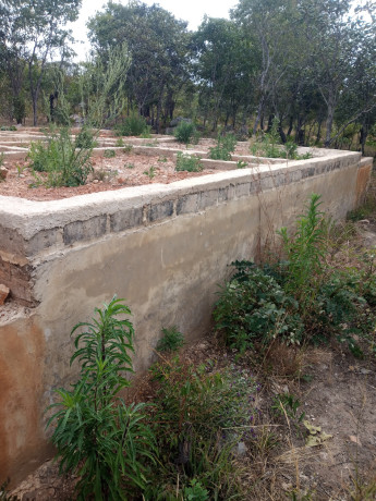 incomplete-2-bedrooms-house-within-a-wall-fence-in-chinsali-zambia-big-4