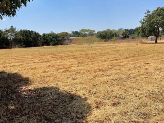 lilayi-property-on-a-28-acres-land