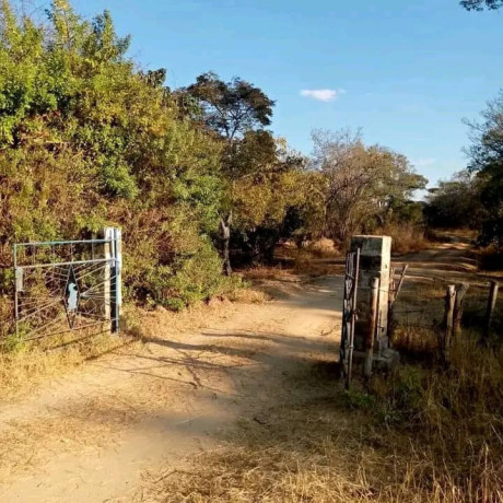 fully-developed-farm-for-sale-in-mazabuka-big-2