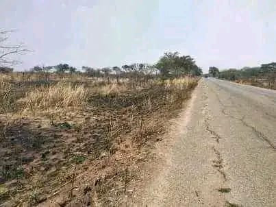 fully-developed-farm-for-sale-in-mazabuka-big-3