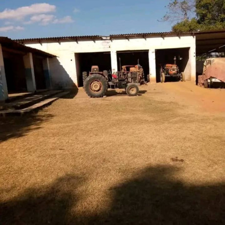 fully-developed-farm-for-sale-in-mazabuka-big-1