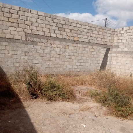 plot-with-incomplete-structure-big-1