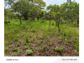 leopards-hilloff-chifwematwo-2-acres-land-for-saleper-acre-k15m-small-0