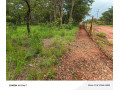 leopards-hilloff-chifwematwo-2-acres-land-for-saleper-acre-k15m-small-2