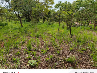 leopards-hilloff-chifwematwo-2-acres-land-for-saleper-acre-k15m