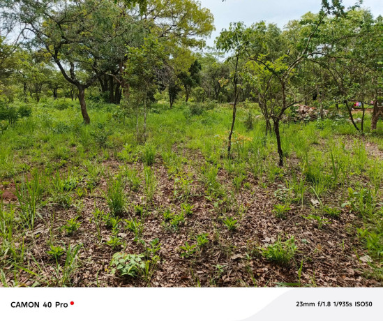 leopards-hilloff-chifwematwo-2-acres-land-for-saleper-acre-k15m-big-0