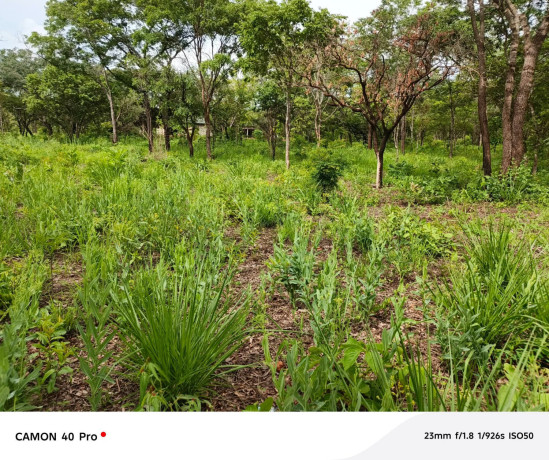 leopards-hilloff-chifwematwo-2-acres-land-for-saleper-acre-k15m-big-3