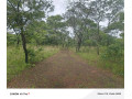 leopards-hill-four-4-acre-landsubdivision-per-acresale60000-small-1