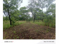 leopards-hill-four-4-acre-landsubdivision-per-acresale60000-small-0