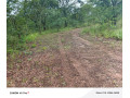 leopards-hill-four-4-acre-landsubdivision-per-acresale60000-small-2