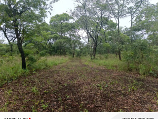 leopards-hill-four-4-acre-landsubdivision-per-acresale60000