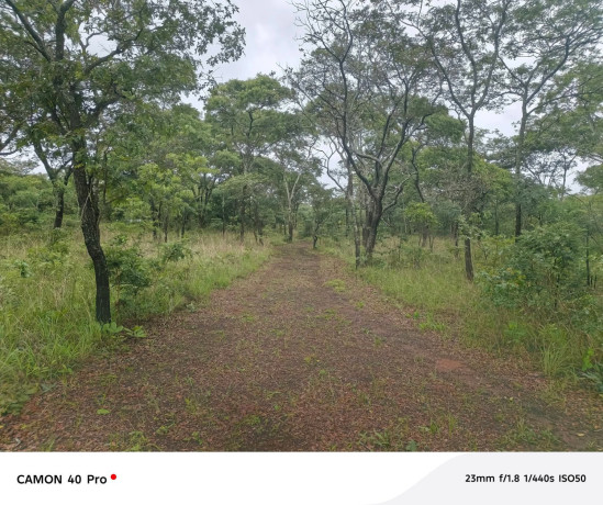 leopards-hill-four-4-acre-landsubdivision-per-acresale60000-big-1