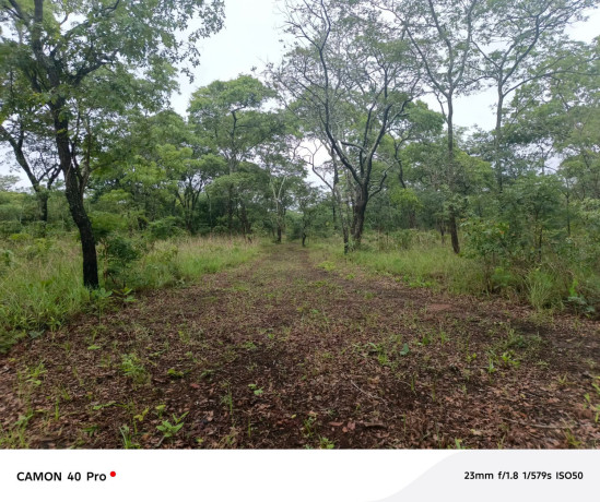 leopards-hill-four-4-acre-landsubdivision-per-acresale60000-big-0